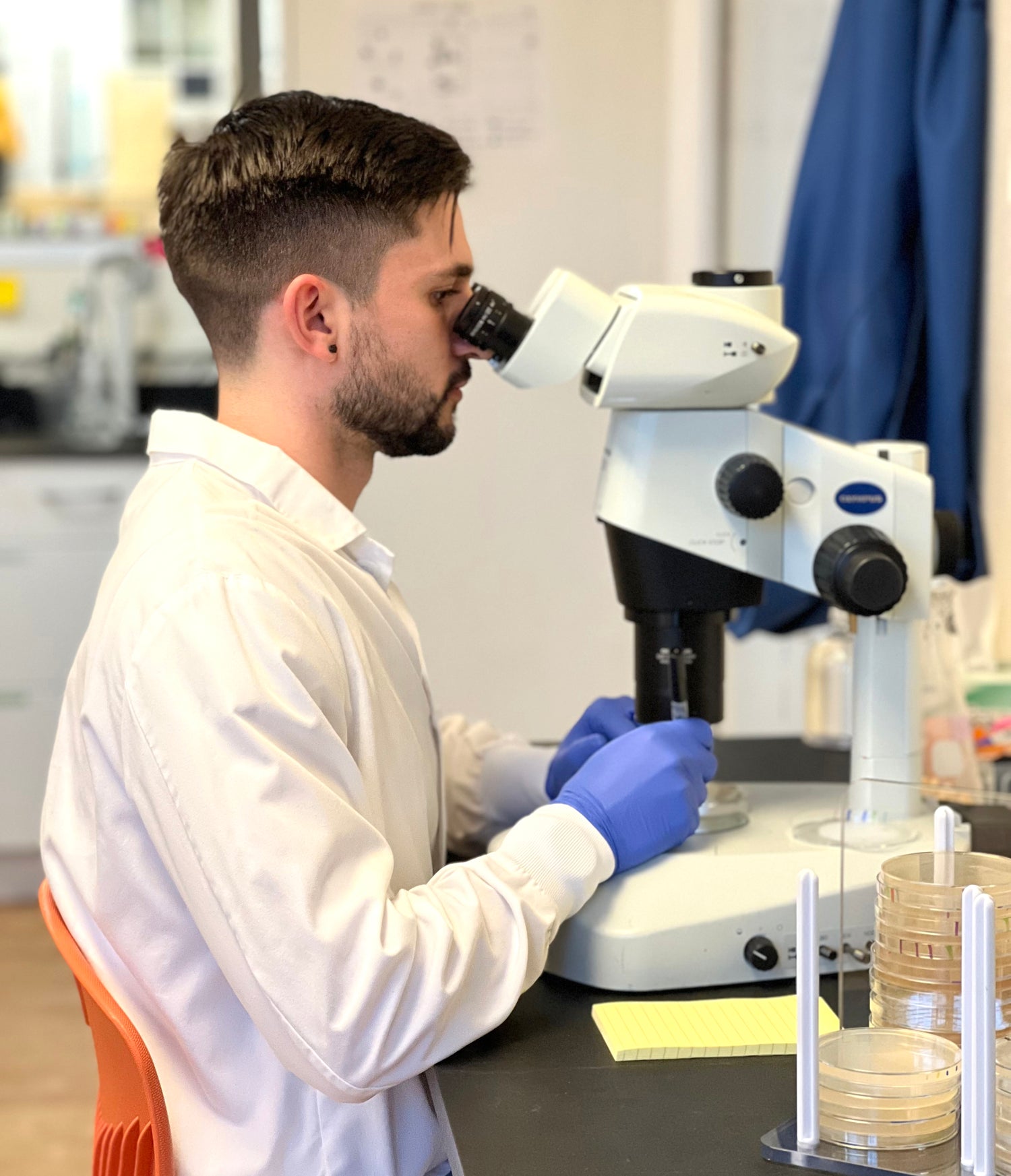 A Micrological's scientist viewing petri dishes on a stereoscope. 